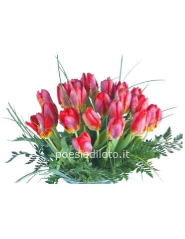 BOUQUET DI TULIPANI