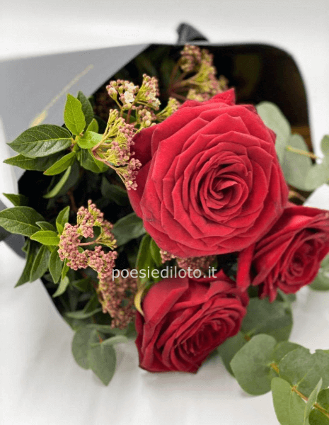 3 ROSE ROSSE CONFEZIONATE