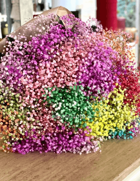 BOUQUET GIPSOFILA RAIMBOW