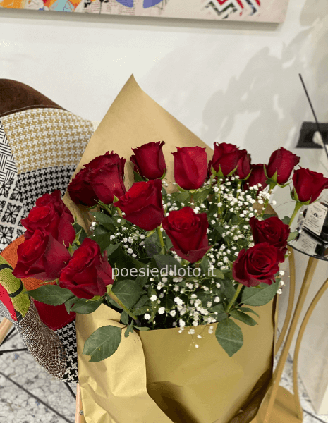 ROSE ROSSE EQUADOR