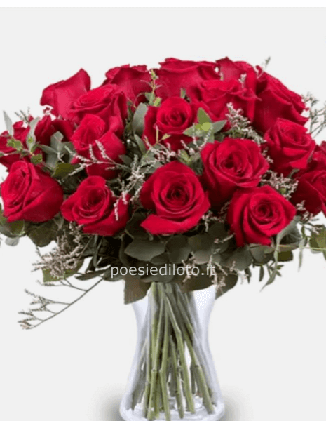 La Vie en Rose: 24 Rose Rosse