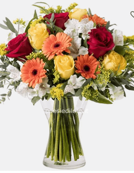 Energia: Mix di Fiori Arancioni