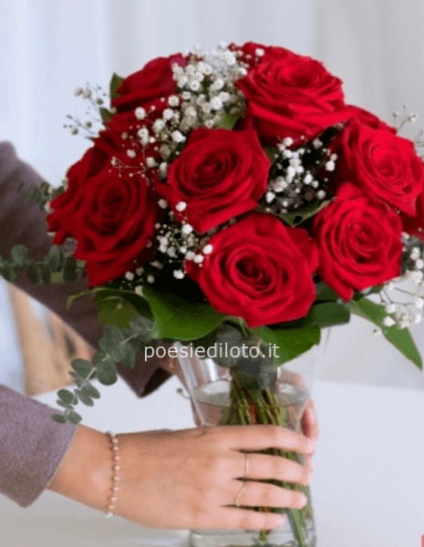 Amore Classico: 12 Rose Rosse