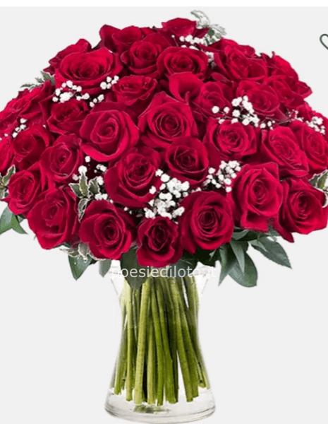 Passione Bordeaux: 35 Rose Rosse