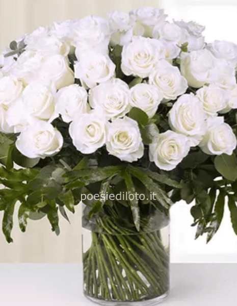 Tendenza  senza limiti: 50 rose bianche