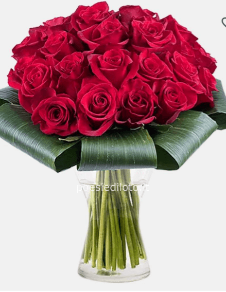 Dipendenza d'Amore: 25 Rose Rosse