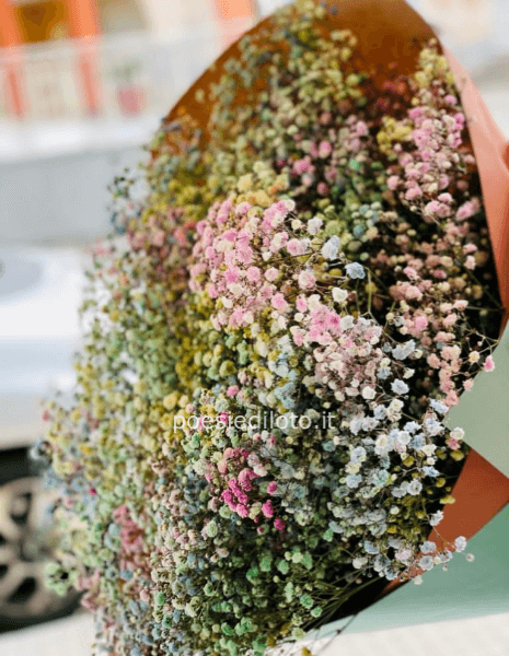 Bouquet di gypsofila rainbow