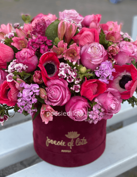 STRAVAGANZE D'AUTUNNO