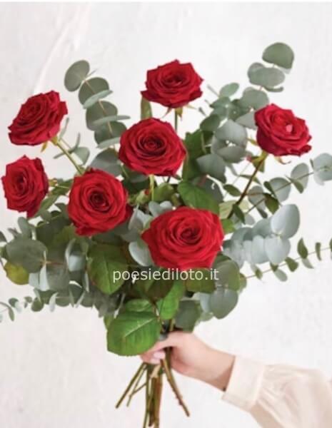 7rose rosse extra